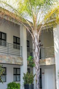 Hotel Ngamiland East Hotel Murah Di Ngamiland East Trip Com Hotel Ngamiland East Hotel Murah Di Ngamiland East Trip Com