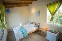 21 Palms Hotels near Playa Colorada 2