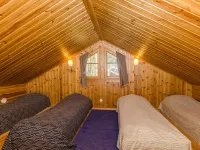 Honkakoli 3 Hotels in Pielisen Karjala