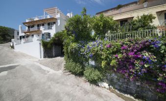 Hotel Giardino Delle Ninfe E la Fenice