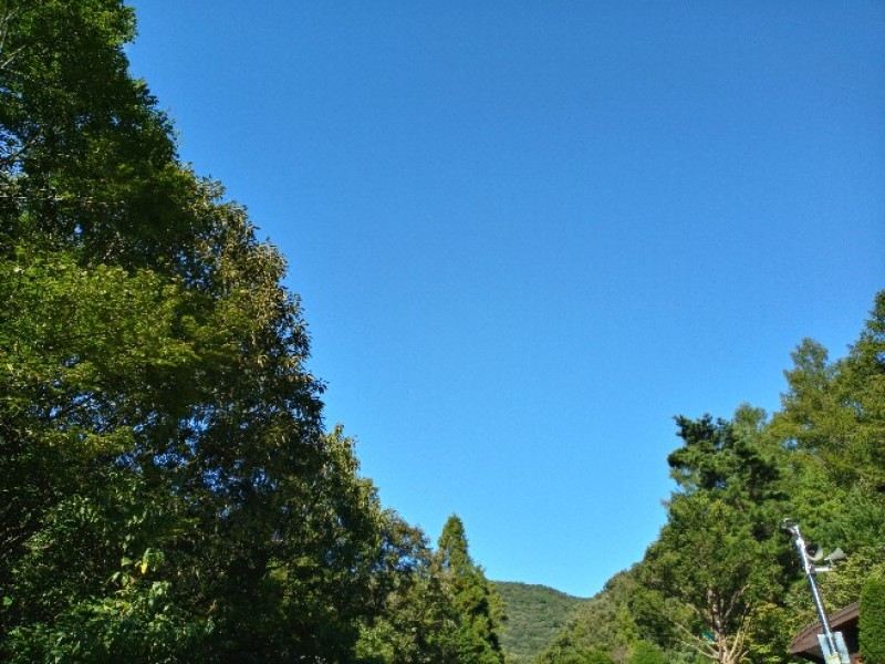 1. 장성 편백숲속펜..