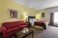Comfort Inn & Suites فنادق في McDuffie County