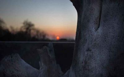 ホテルからの眺望 ブアナ バリ ラグジュアリー ヴィラズの写真