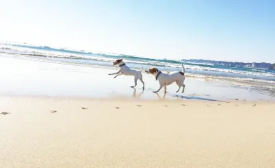 Onjuku Beachside