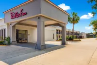 Red Roof Inn Gulfport - Biloxi Airport Hotel in zona Institute For Marine Mammal Studies