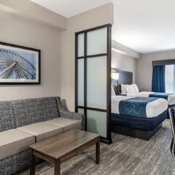Comfort Suites McDonough Atlanta South