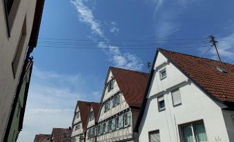 Historik Hotel Ochsen