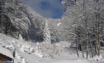 Hotel & Gasthaus Sterngrund