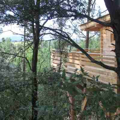 Les Cabanes Dans les Bois Rooms