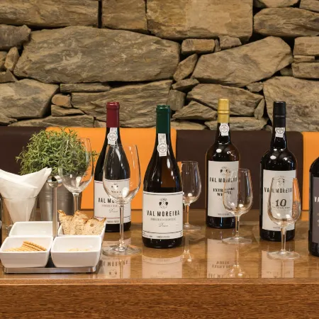 Vila Gale Douro Vineyards
