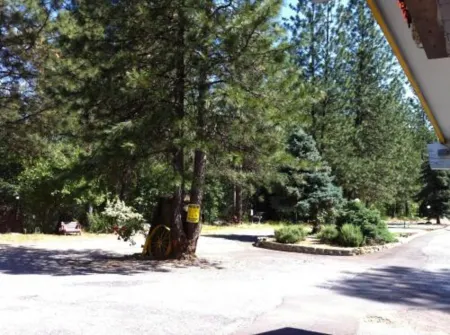 Golden Chain Motel Отели в г. Колфакс