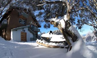 Alpine Retreat Mt Buller