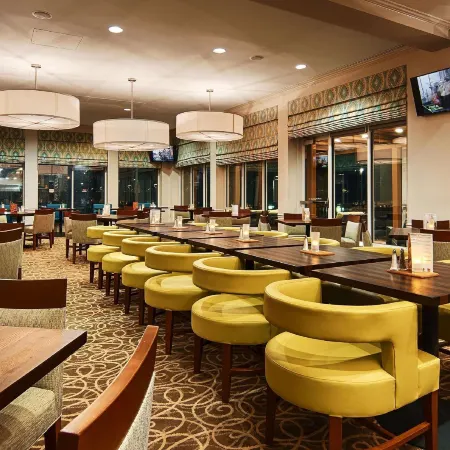 Hilton Garden Inn Houston/Galleria Area
