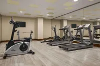 Ramada Plaza by Wyndham Samsun - Gym