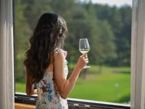 Vila Maša Zlatibor