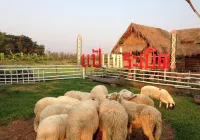 Ruen Kaew Boutique Resort Hotel di Sung Men