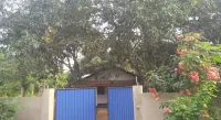 Mango Shade