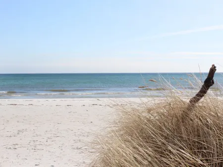 "Elza" - 800m from the Sea