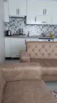 Geyikli günlük Daire3