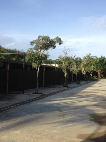 รูปภาพของปาล์ม อินน์ (Palm Inn)