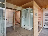 Superior 4 SZ,Sauna&Aussenbadewanne