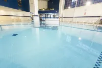 Holiday Inn LONDON - SUTTON by IHG - Pools