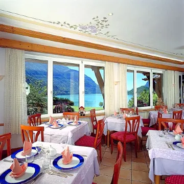 Hotel des Alpes