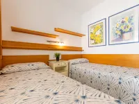 International - Homestays