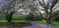 Crest Farm - Self-Catering 2-Bedroom, Wi-fi, Views, Swiming Pool