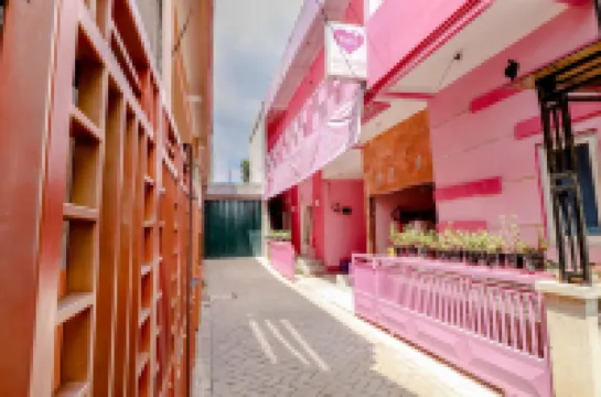Pinky Guest House