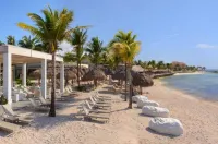 Catalonia Yucatan Beach - All Inclusive - 비치