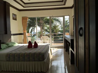 รูปภาพของปลาโลมา คลิฟ