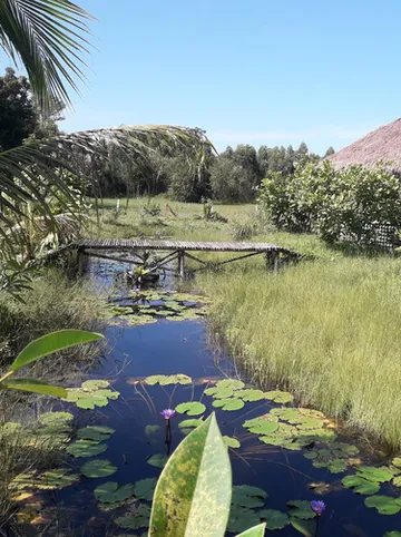 รูปภาพของอารียา รีสอร์ท