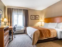 คอมฟอร์ตอินน์ เซาท์ - สปริงฟีลด์