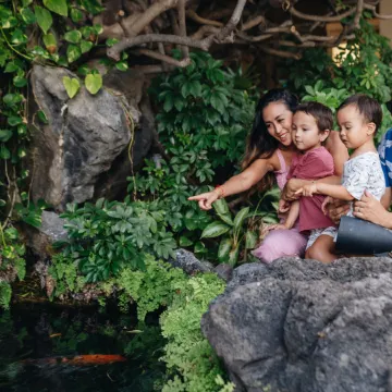 Sheraton Princess Kaiulani Waikiki Beach
