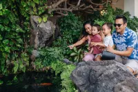 Sheraton Princess Kaiulani Waikiki Beach Hotele w pobliżu Capitol Modern: the Hawaii State Art Museum