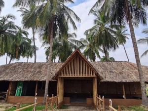 coconut tree guest house