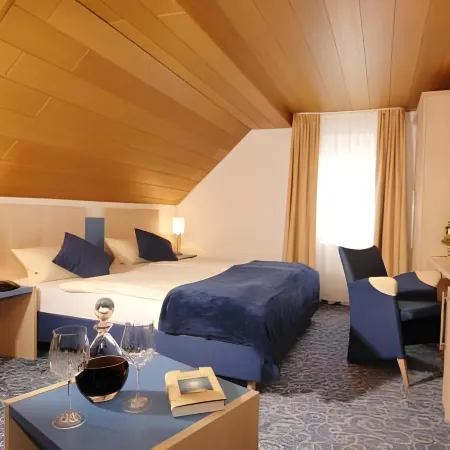Adler Hotel Garni