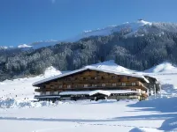 Hotel Kitzspitz Hotels in Waidring