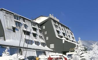 Hotel Alpina