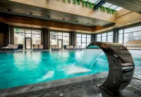 Hotel Arte Spa & Park - Pools