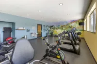 藥草山谷貝斯特韋斯特優質飯店 - 健身房