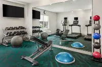 TownePlace Suites Chicago Lombard - Gym