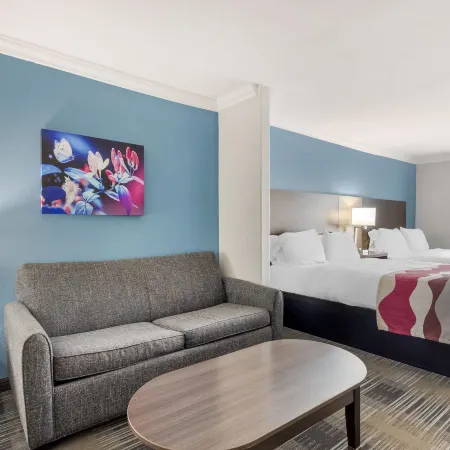 Best Western Medical Center North Inn  Suites Near Six Flags