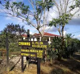 Cabinas El Pilon Rio Celeste Hotels in Bijagua