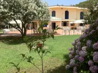 Camping Iscrixedda