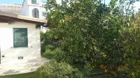 VILLA FRANCOIS a few meters from the main street of Torre Annunziata Hotel in zona Rovigliano