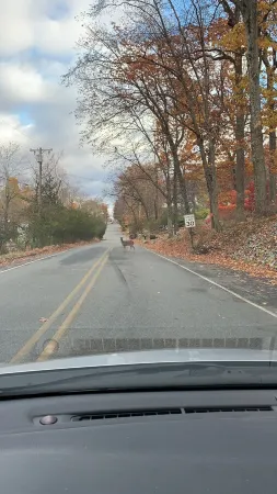 Unforgettable sunset view, on the porch…