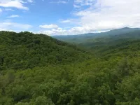 Wild Thing - Blowing Rock, Hot Tub, Big Views, NEW