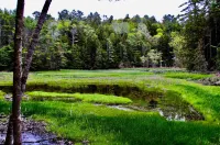 Beautiful farmhouse with hiking trails/kayaking. 5 minutes to town or ocean!